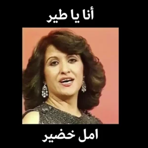 أنا يا طير